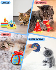 6Pcs Birthday Themed Catnip Toys
