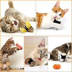CiyvoLyeen 6 Pack Sushi Cat Toys with Catnip