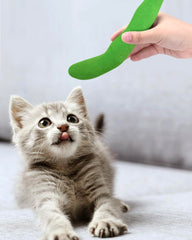 4PCS Green Bean Catnip Toys